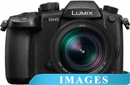 Фотоаппарат Panasonic Lumix DC-GH5 Kit 12-60mm f/2.8-4.0