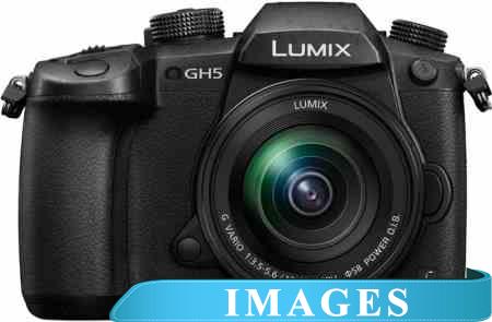 Фотоаппарат Panasonic Lumix DC-GH5 Kit 12-60mm f/3.5-5.6