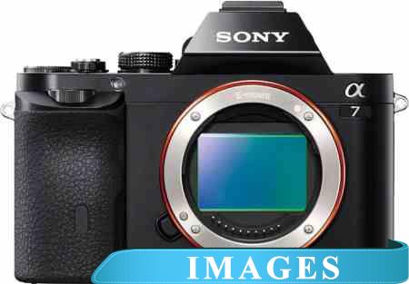 Инструкция для Фотоаппарата Sony a7 Body (ILCE-7)