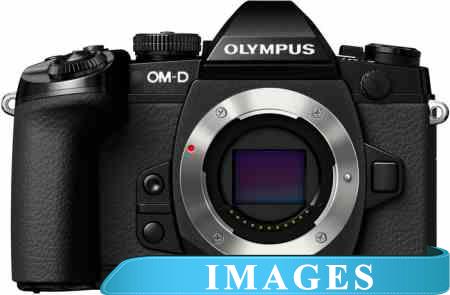 Фотоаппарат Olympus OM-D E-M1 Body
