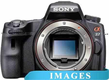 Фотоаппарат Sony SLT-A37 Body